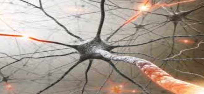 Διαδικτυακή Ημερίδα: “Αποκατάσταση ασθενών με νευρολογικά νοσήματα”