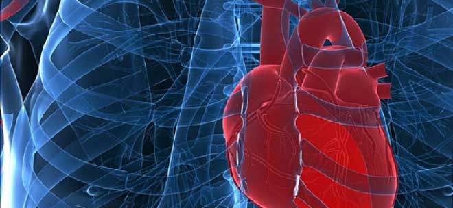 Ε.Ε.ΚΑ.Α.: Σεμινάριο Εξειδικευμένης Υποστήριξης της ζωής σε Καρδιοχειρουργικό ασθενή