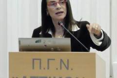 ΗΜΕΡΙΔΑ-ΑΤΤΙΚΟΝ-8